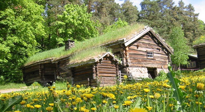 Green Roof Norway